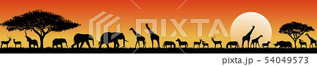 African savanna animals at sunset 54049573