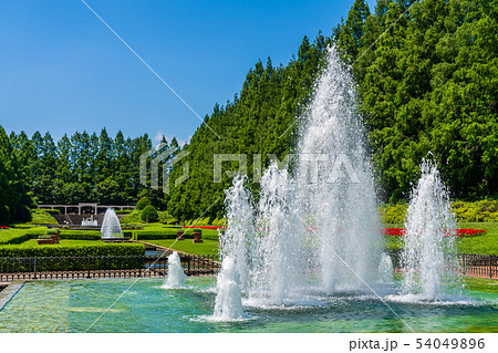神奈川県立　相模原公園 54049896