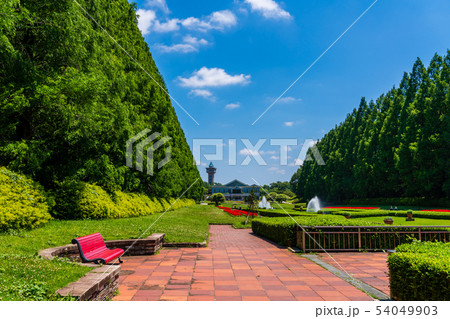神奈川県立 相模原公園 神奈川県立 相模原公園 54049903