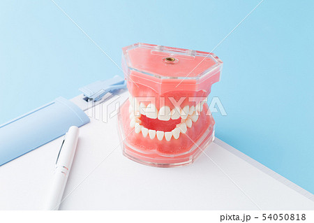 歯科検診 歯科検診 54050818