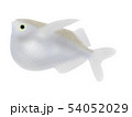 ハチェット 54052029