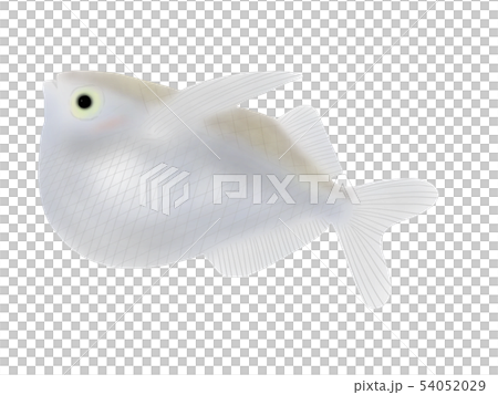 ハチェットのイラスト素材