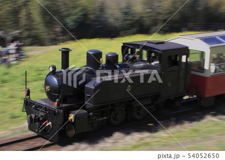 春の小湊鐡道「房総里山トロッコ列車」 54052650