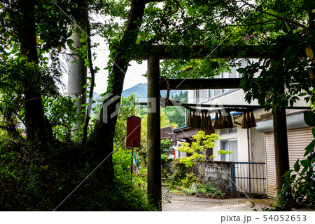 参道 天岩戸神社 参道 天岩戸神社 54052653
