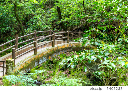 岩戸川渓谷 天安河原 54052824