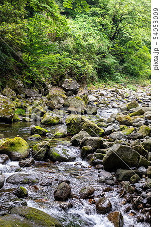 岩戸川渓谷 天安河原 54053009