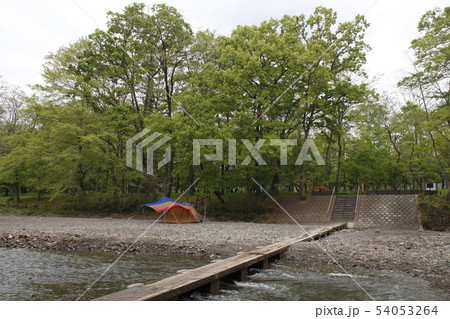 梅雨の巾着田（ドレミファ橋） 54053264