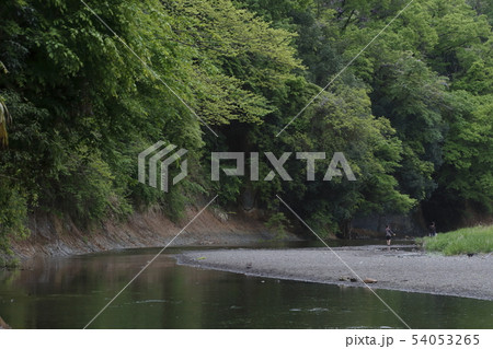 梅雨の巾着田にて 54053265