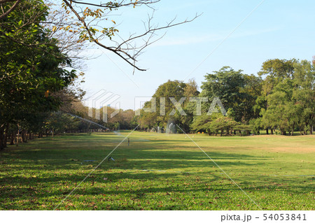 watering public park with sprinkler watering public park with sprinkler 54053841