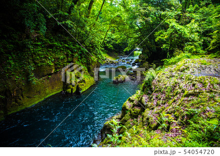 菊池渓谷の光芒 菊池渓谷の光芒 54054720
