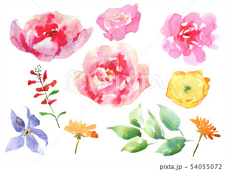 Collection Hand drawing watercolor pink and white flowers for Wedding bridal romanric rustic bouquet 54055072