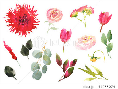 Collection Hand drawing watercolor pink and white flowers for Wedding bridal romanric rustic bouquet 54055074