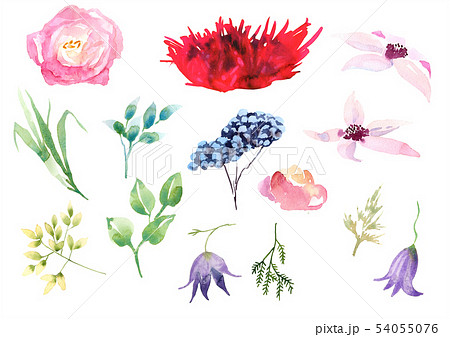 Collection Hand drawing watercolor pink and white flowers for Wedding bridal romanric rustic bouquet 54055076