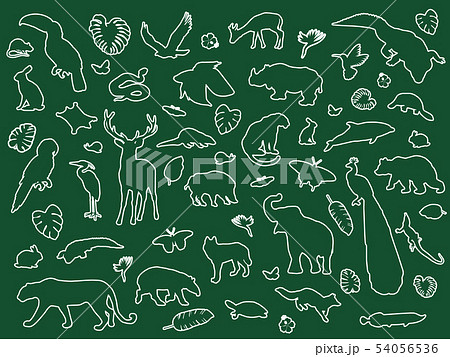 Animal shaped outline isolated 54056536