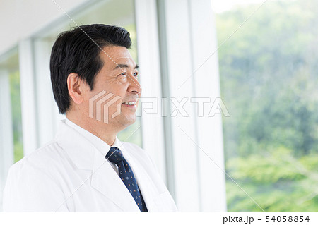 ビジネスマン、病院、医師、研究、薬剤師 54058854