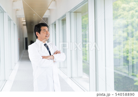 ビジネスマン、病院、医師、研究、薬剤師 ビジネスマン、病院、医師、研究、薬剤師 54058890