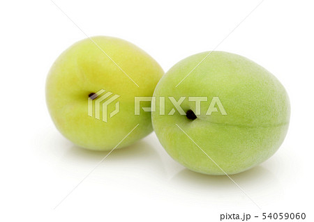 梅の実 梅の実 54059060