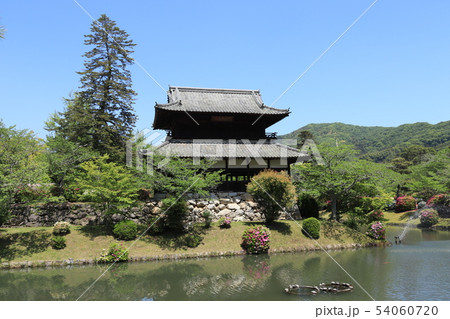 岩国市吉香公園の風景 54060720