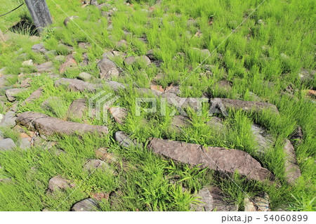 八丁鎧塚古墳 2号墳張出部石棺　長野県須坂市 54060899