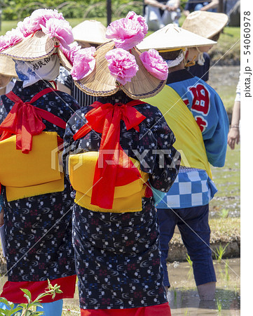 御田植え祭 御田植え祭 54060978