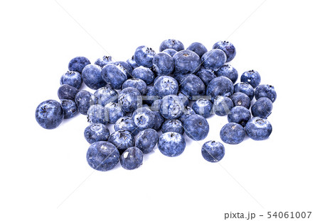 fresh blueberries isolated on white 54061007