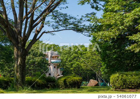 神奈川県　相模原公園 54061077