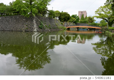 雨の八代城、八代宮 54061181