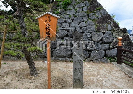 雨の八代城、八代宮 54061187