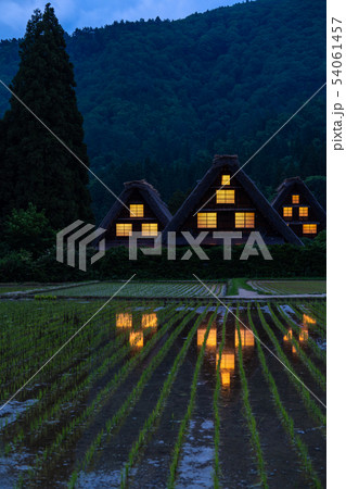 《岐阜県》白川郷合掌造り集落・田植えシーズン《日没》 54061457