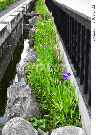 雨の松濱軒 54061722