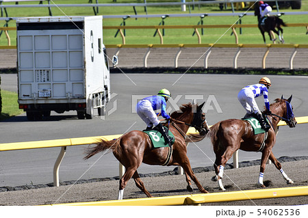 競馬 競馬 54062536