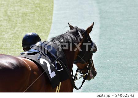 競馬 競馬 54062542