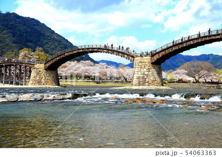 春の錦帯橋 54063363