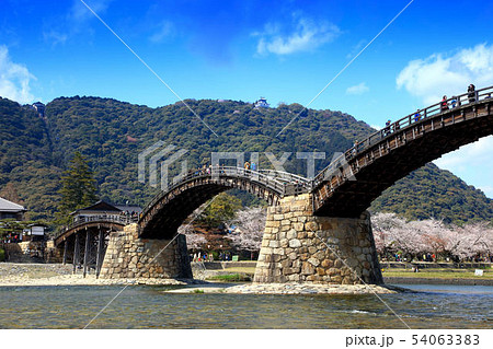 春の錦帯橋 春の錦帯橋 54063383