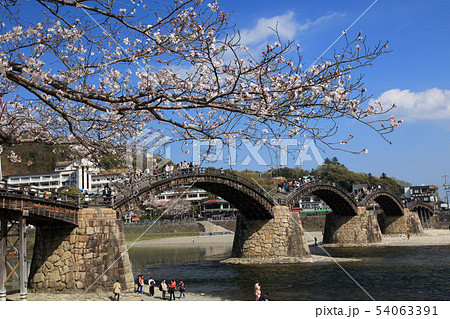 春の錦帯橋 54063391