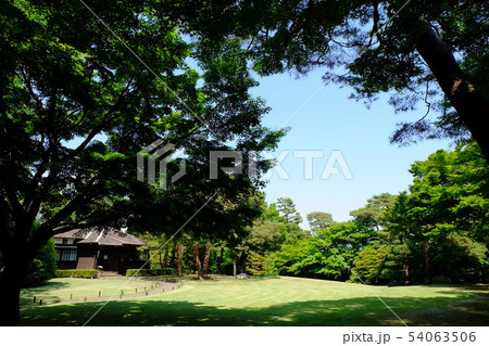 都立殿ヶ谷戸庭園 都立殿ヶ谷戸庭園 54063506