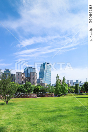 緑地広場越しに高層ビルを見る 54064168