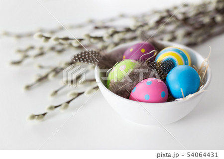 colored easter eggs and pussy willow branches 54064431