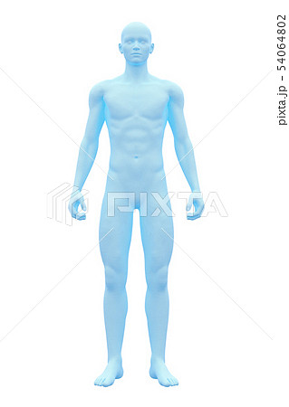 Male Body Whole body - Stock Illustration [38509018] - PIXTA
