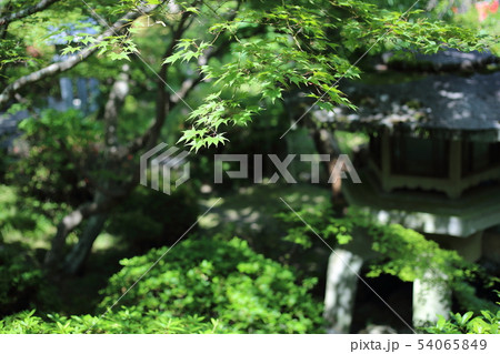 信貴山 朝護孫子寺 【 奈良県平群町 ・ 信貴山 】 信貴山 朝護孫子寺 【 奈良県平群町 ・ 信貴山 】 54065849