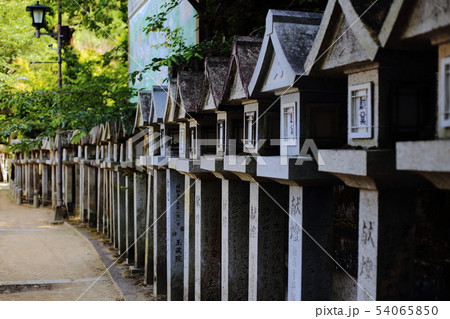 信貴山 朝護孫子寺 【 奈良県平群町 ・ 信貴山 】 信貴山 朝護孫子寺 【 奈良県平群町 ・ 信貴山 】 54065850