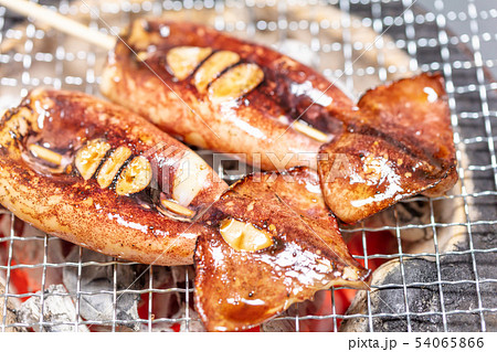 イカ_炭火焼き（炭焼き・網焼き・七輪・一人・宅飲み・バーベキュー・BBQ・焼肉・牛肉 54065866