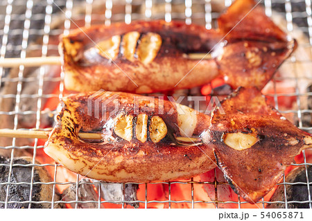 イカ_炭火焼き(炭焼き・網焼き・七輪・一人・宅飲み・バーベキュー・BBQ・焼肉・牛肉 イカ_炭火焼き(炭焼き・網焼き・七輪・一人・宅飲み・バーベキュー・BBQ・焼肉・牛肉 54065871