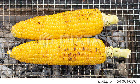 イカ_炭火焼き(炭焼き・網焼き・七輪・一人・宅飲み・バーベキュー・BBQ・焼肉・牛肉 イカ_炭火焼き(炭焼き・網焼き・七輪・一人・宅飲み・バーベキュー・BBQ・焼肉・牛肉 54066076