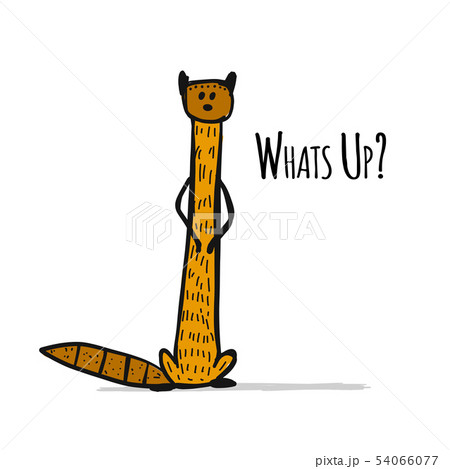 Funny mongoose, sketch for your design Funny mongoose, sketch for your design 54066077