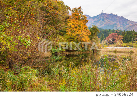秋の碓氷峠 紅葉の麻苧の滝自然公園 秋の碓氷峠 紅葉の麻苧の滝自然公園 54066524