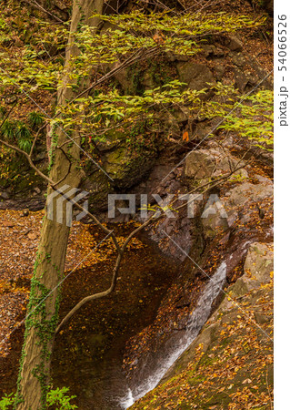 秋の碓氷峠 紅葉の麻苧の滝自然公園 秋の碓氷峠 紅葉の麻苧の滝自然公園 54066526