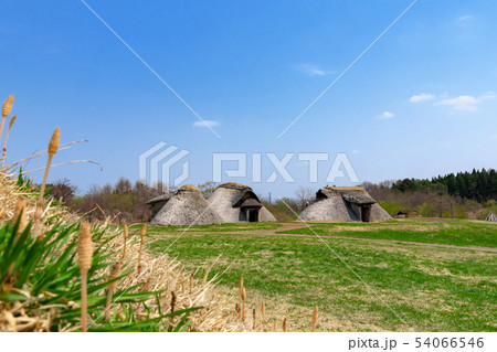 【青森県三内丸山遺跡】三内丸山遺跡竪穴住居の春 【青森県三内丸山遺跡】三内丸山遺跡竪穴住居の春 54066546
