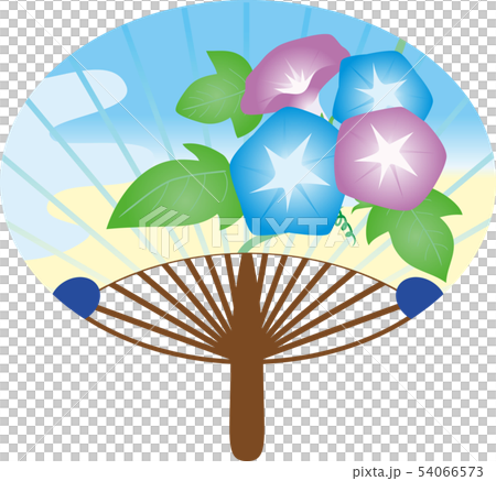 Dan fan morning glory 54066573