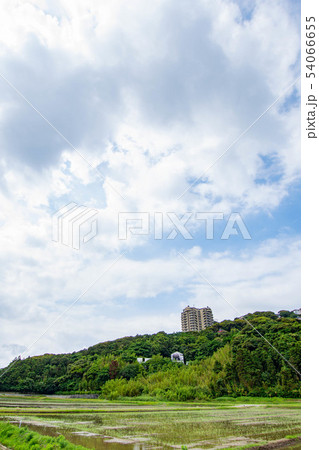 田んぼからの風景 田んぼからの風景 54066655